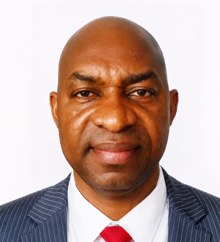 Mr. Yemi Osagbakhomwen
